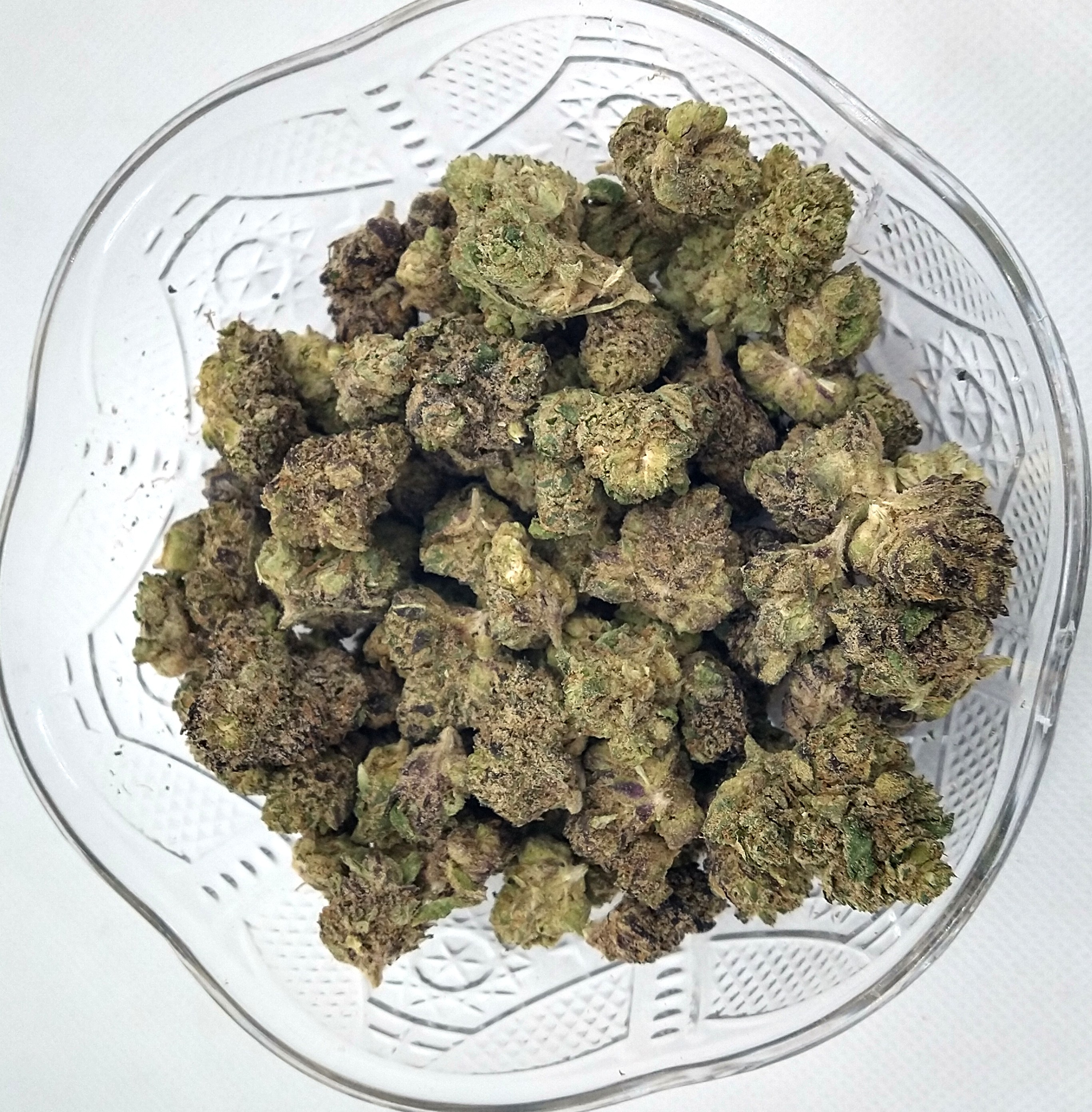 Photograph of product: Craft Hydro | Sherb Creampie | Oui'd | Bulk Flower | Silver - 1g
