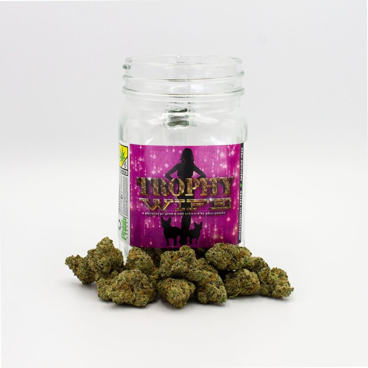 Photograph of product: Phat Panda Platinum: Trophy Wife - 14g