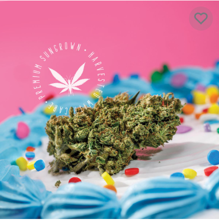 Photograph of product: Ice Cream Cake - 28g