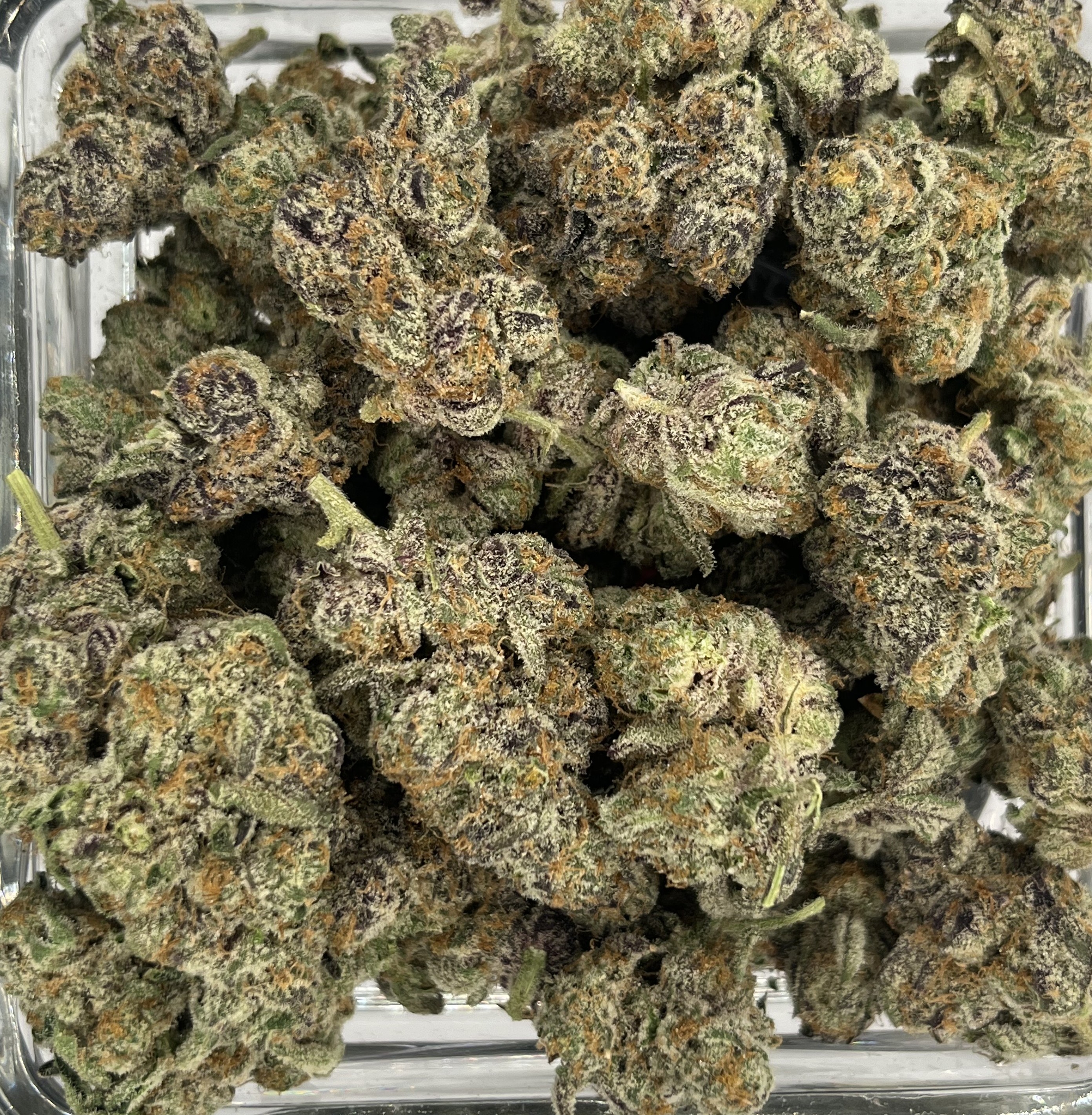 Photograph of product: Flower - Gelato Jackpot - 28g