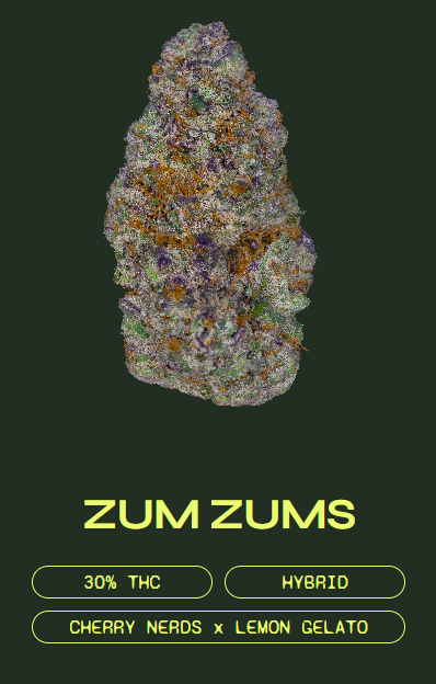 Photograph of product: Zumz Zumz - Flower - 3.5g