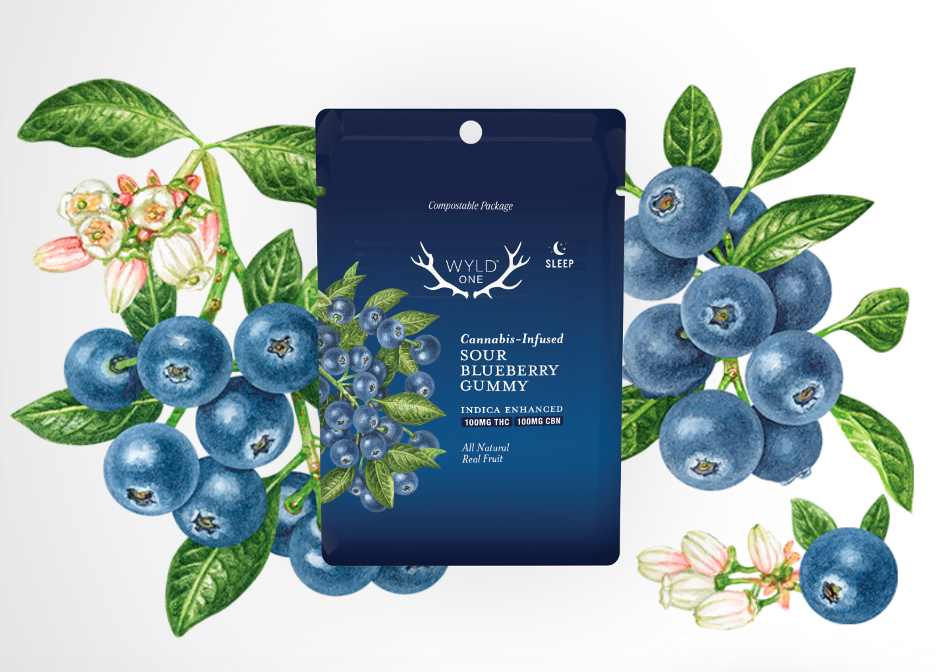 Photograph of product: Wyld ONE Sour Blueberry Oui'd Gummy 100mg TH-oui:CBN