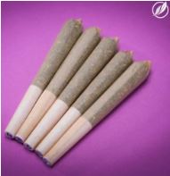 Photograph of product: Magenta Dream Shorties I 26090 (5pk)