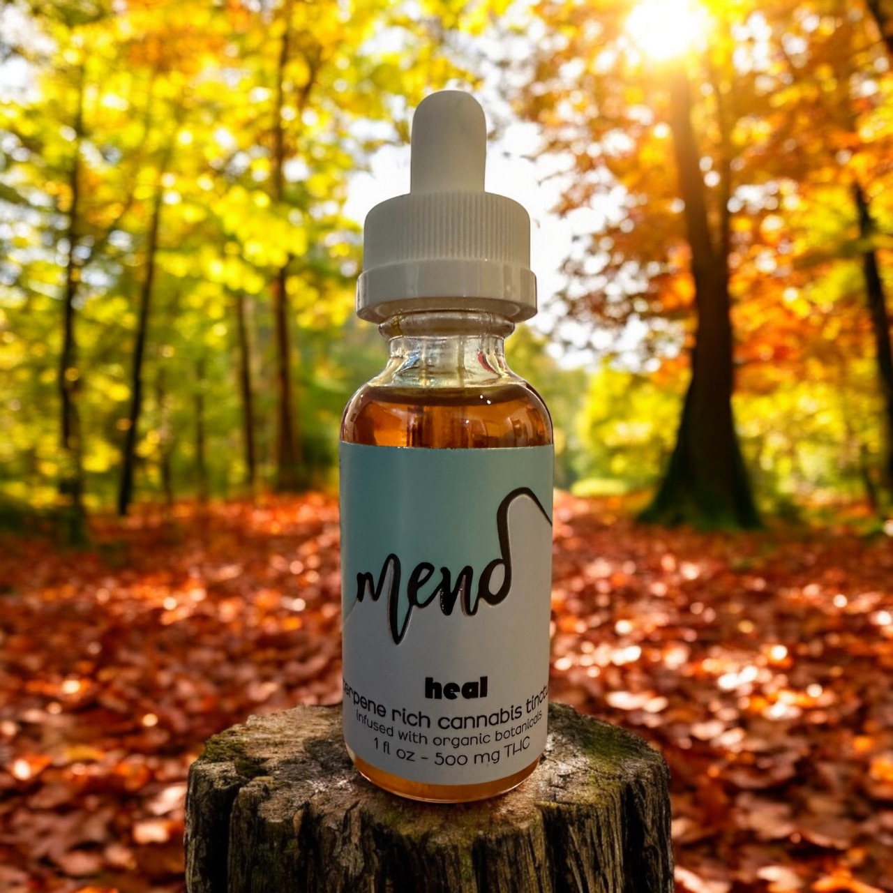 Photograph of product: Mend | Heal | Tincture 500mg