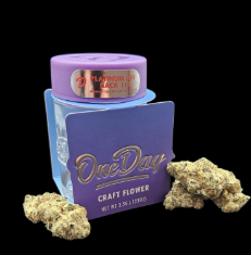 Photograph of product: Flower | One Day | Platinum Life Hack 113 - 3.5g