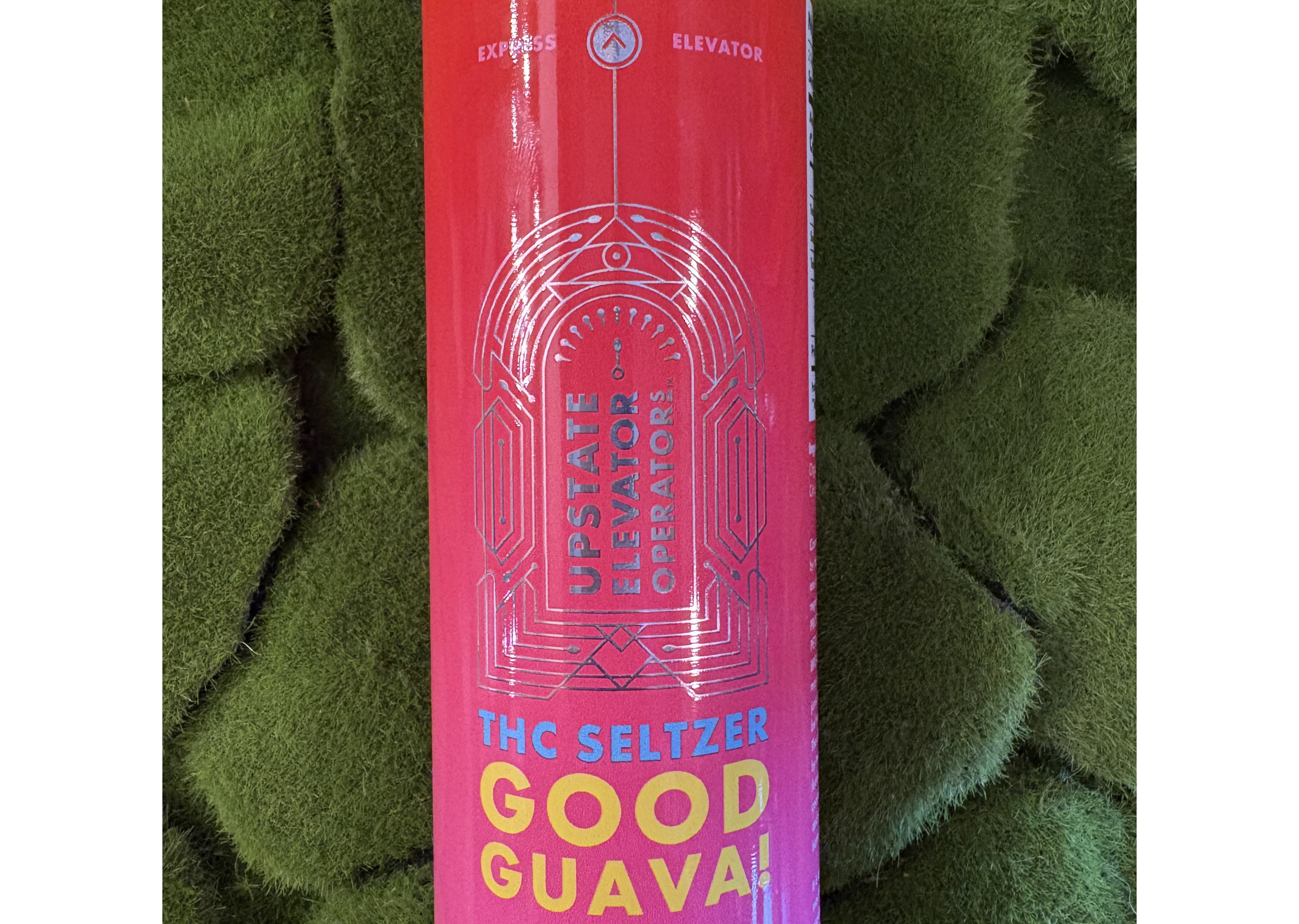 Photograph of product: 10mg Can | Good Guava! TH-oui Seltzer | Upstate Elevator Operators