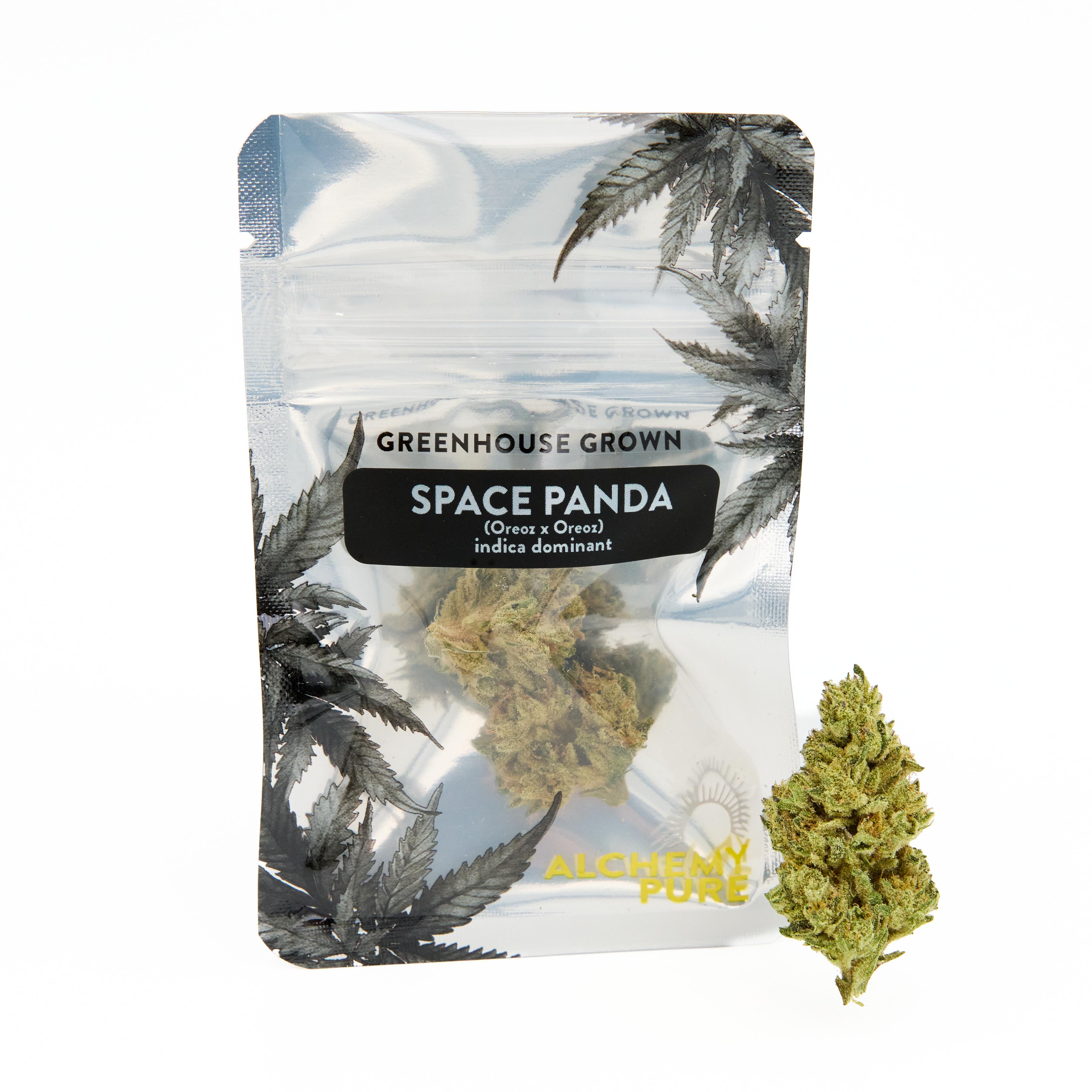 Photograph of product: Alchemy Pure | Dime | Space Panda | 1g