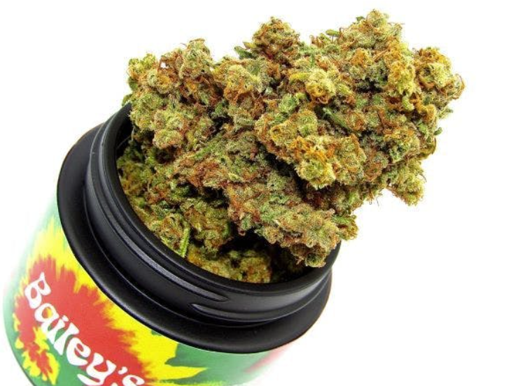 Photograph of product: Flower | Tangimal - 3.5g