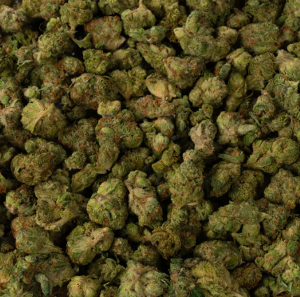 Photograph of product: EXOTIC GENETIX | SUPER GLUE | SMALLS | HYBRID - 28g