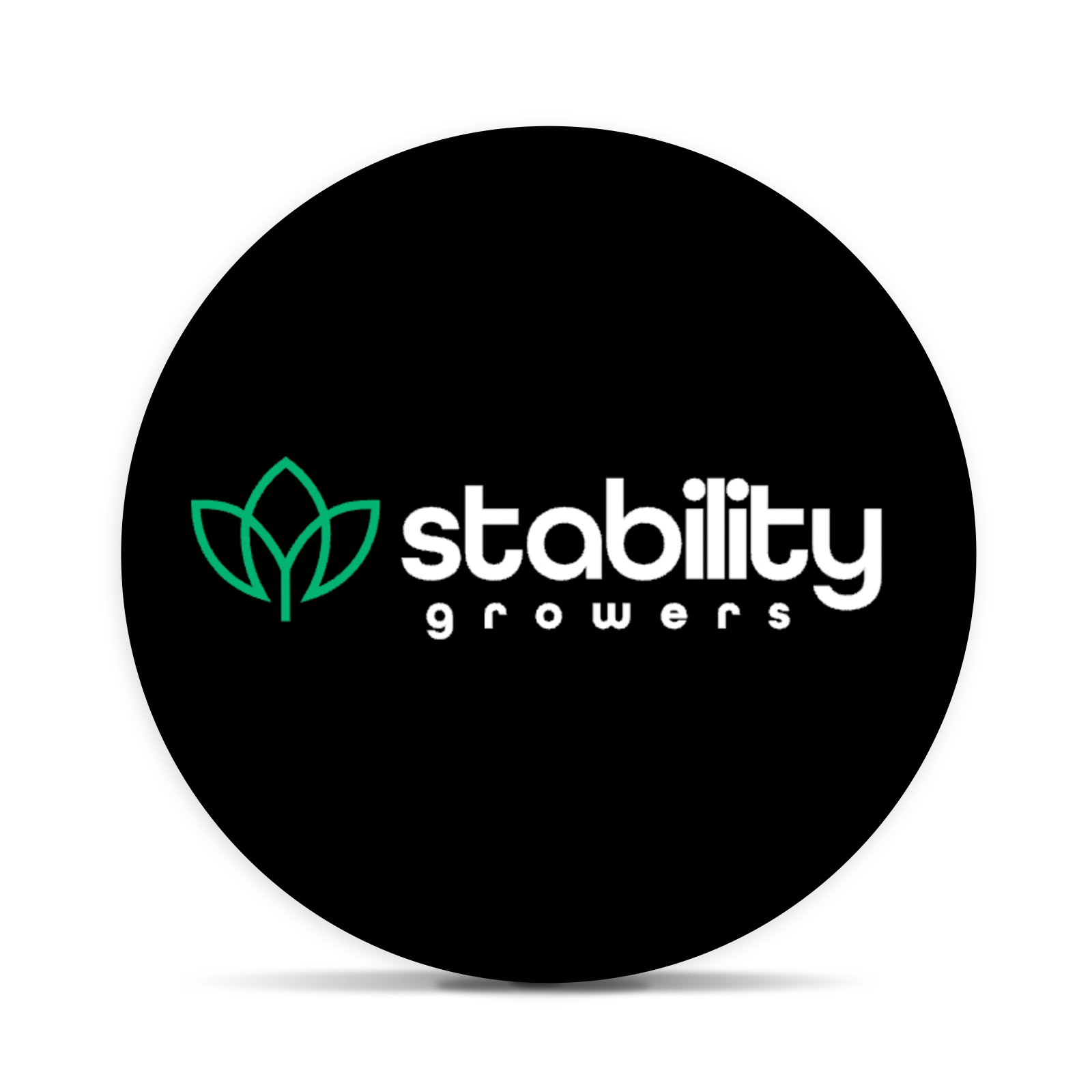 Logo for img-fluid: Stability Growers