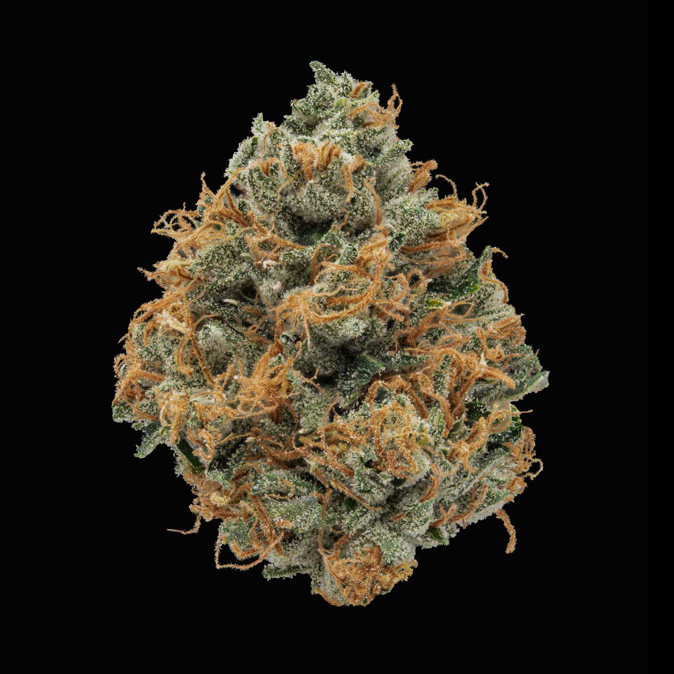 Photograph of product: Josh D OG - 2.83g