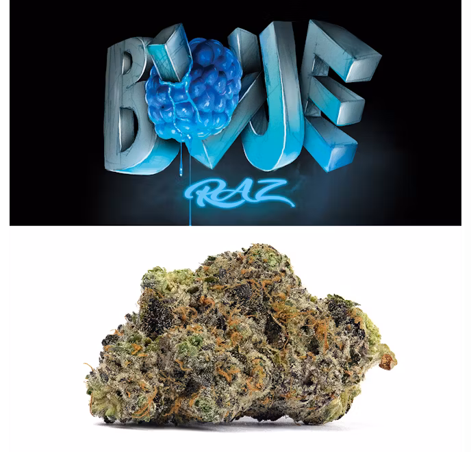 Photograph of product: Cookies- Flower- Blue Razz (I) - 3.5g