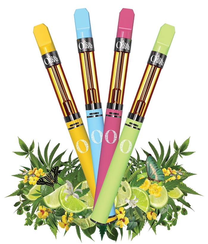 Photograph of product: Sano Gardens | All in One Orchard Vape | Strawnana Cabana