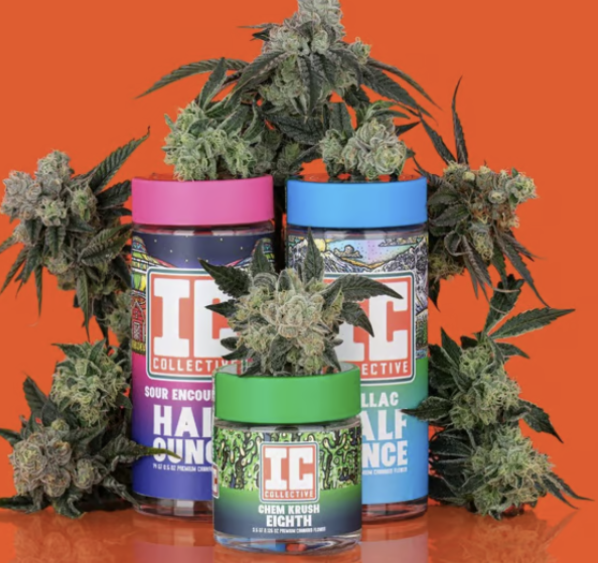 Photograph of product: IC Collective Pre-pack - One Way - 3.5g