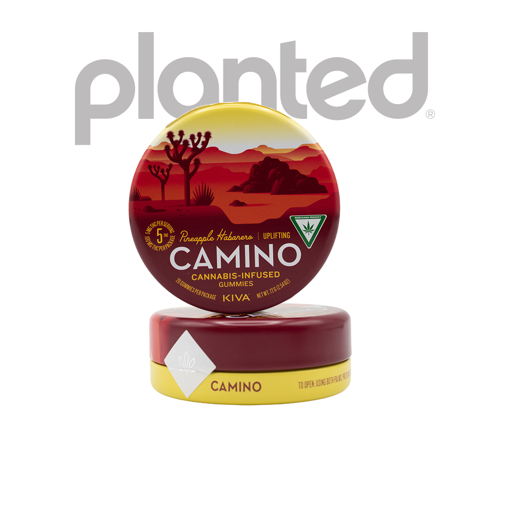 Photograph of product: CAMINO | PINEAPPLE HABENARO | Oui'd | GUMMIES | 200MG | REC