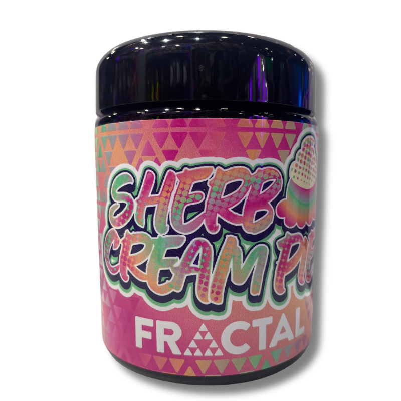 Photograph of product: Fractal | Sherb Cream Pie | 14g | Pre-Pack Flower