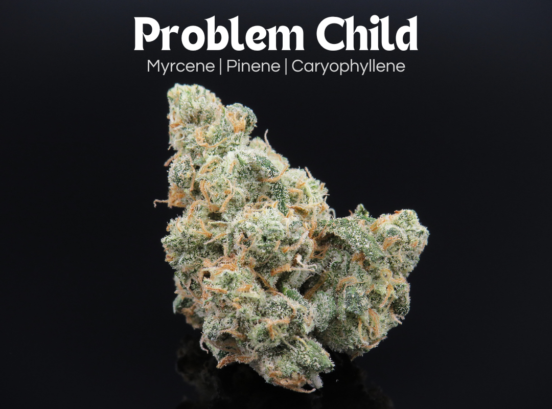Photograph of product: Problem Child - 2.83g
