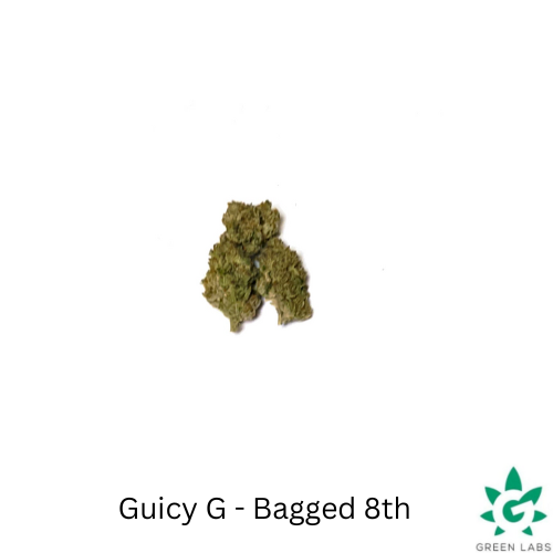 Photograph of product: (REC) Guicy G 8th Bag
