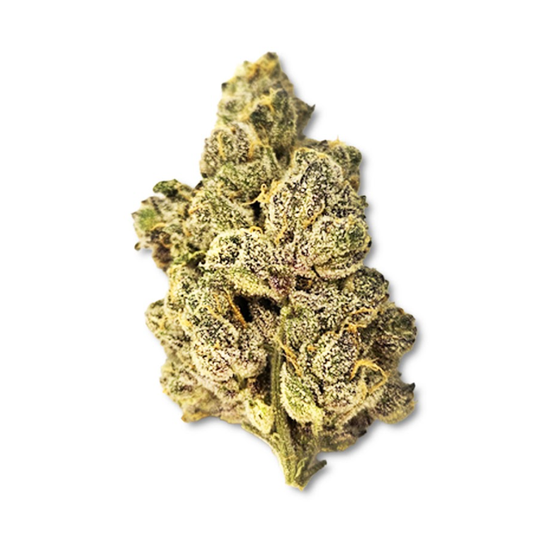 Photograph of product: Gastro Pop (May '25 Harvest) - 28g