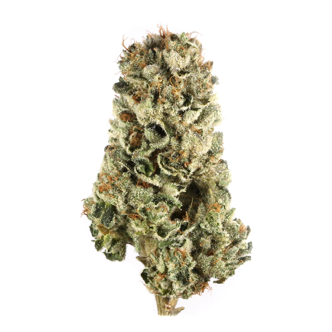 Photograph of product: Sour Cherry Pie | Fig Farms | 3.5g | Buds
