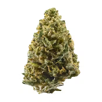 Photograph of product: Flower | Northern Lights #5 - 3.5g