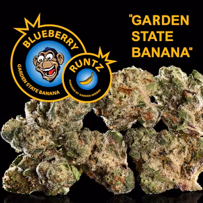 Photograph of product: Garden State Banana - Blueberry Runtz - 3.5g Flower
