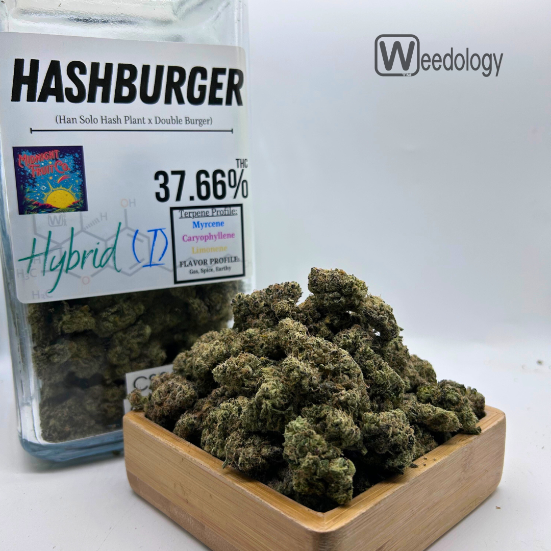Photograph of product: au chocolat Burger (I-H) - 3.5g