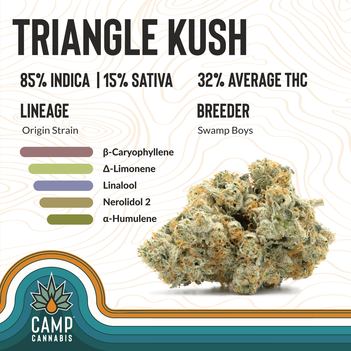 Photograph of product: California #10 | 3.5g | Camp