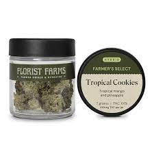 Photograph of product: Flower | Tropical Cookies (H) Florist Farms - 7g