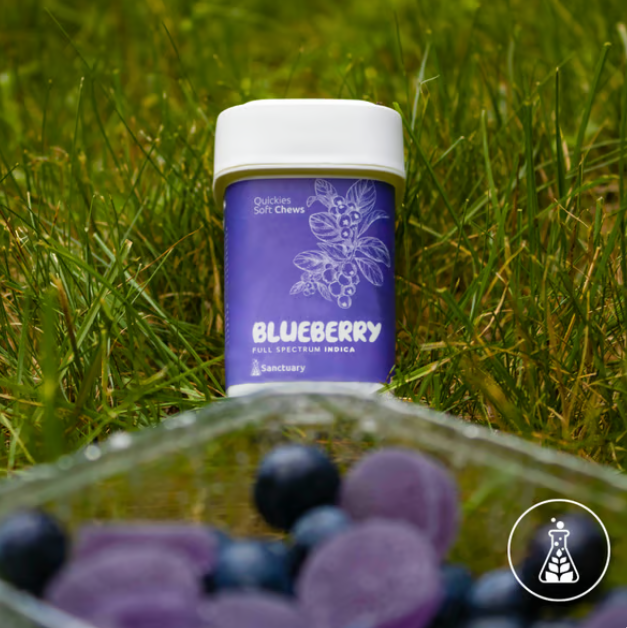 Photograph of product: Quickies | Blueberry Oui'd - Gummies 100mg (20pk)