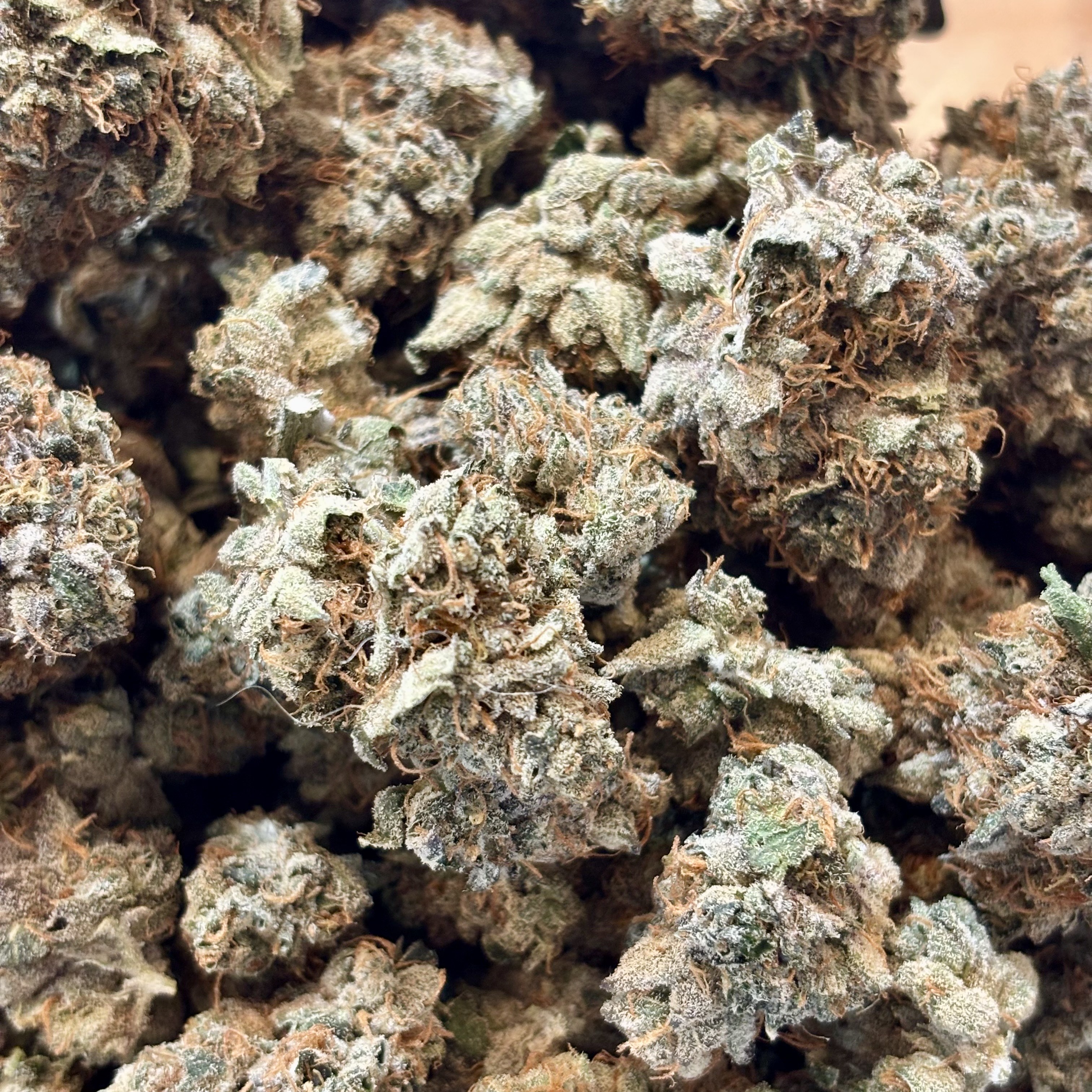 Photograph of Product: Cherry Kush Cookies | Rock Lake - 1g
