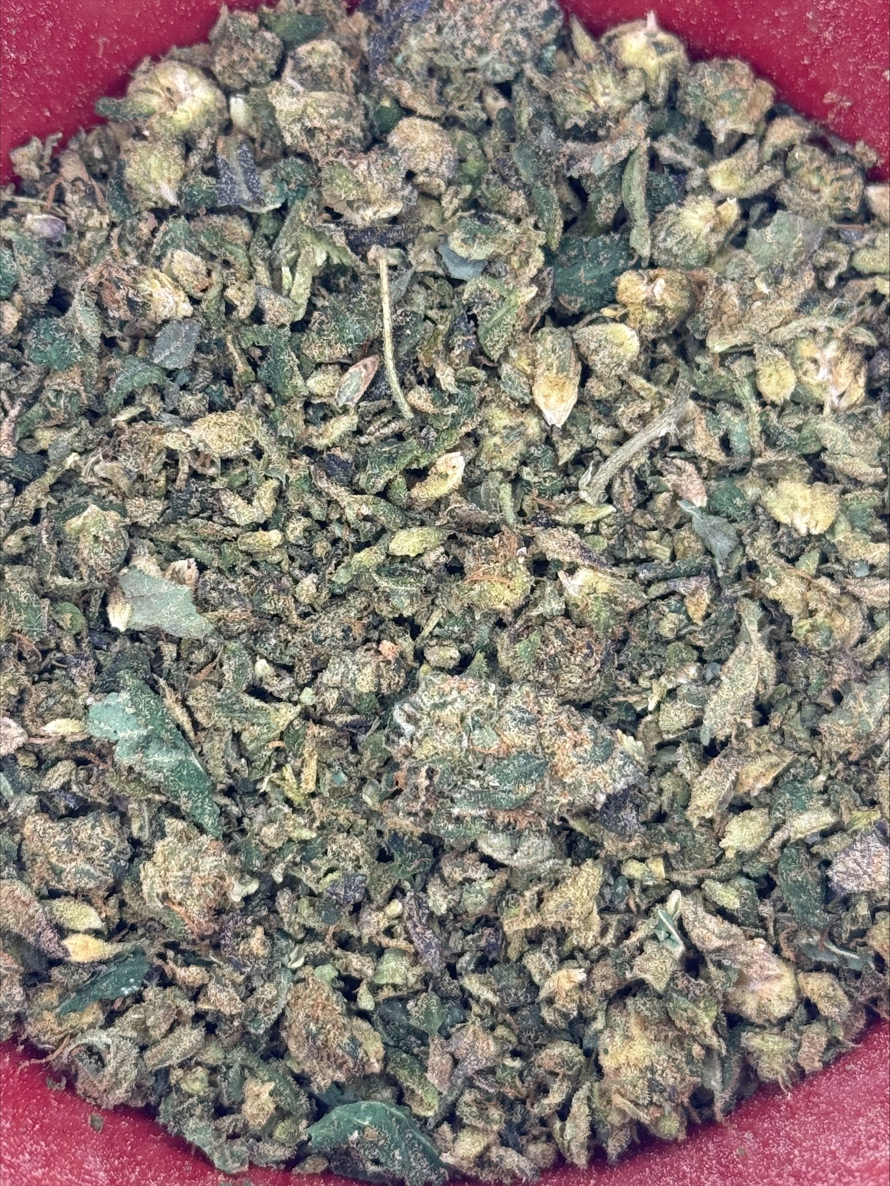 Photograph of product: WGE | Indoor Pre Packed Shake 1oz | Sherb Cream PIe - 28g