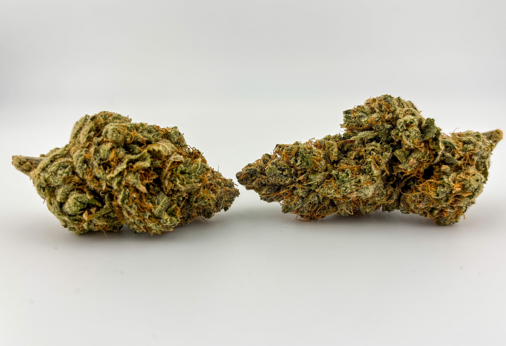Photograph of product: Trichome Farms | Flower [S] | Mind Flex