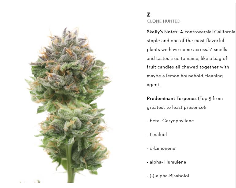 Photograph of product: 710 Labs Flower 7g - Z