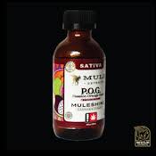 Photograph of product: POG 1:2 TH-oui:CBG Muleshine Tincture (Mule)