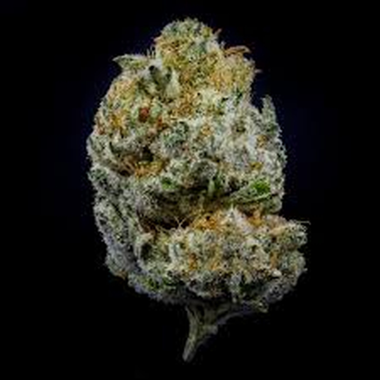 Photograph of product: Divorce Cake- Full Bud oz 28g