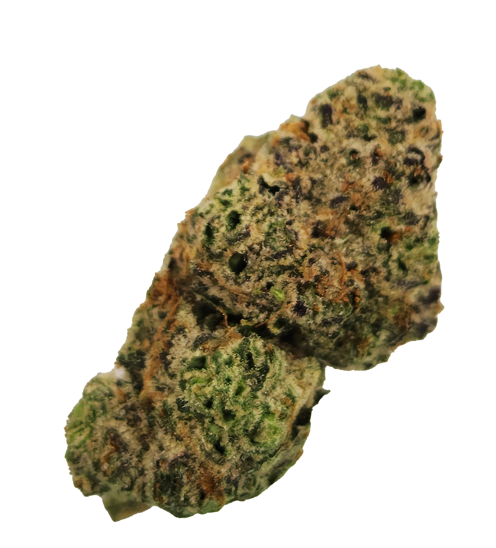Photograph of product: Royal Runtz | The Hive Flower - 28g