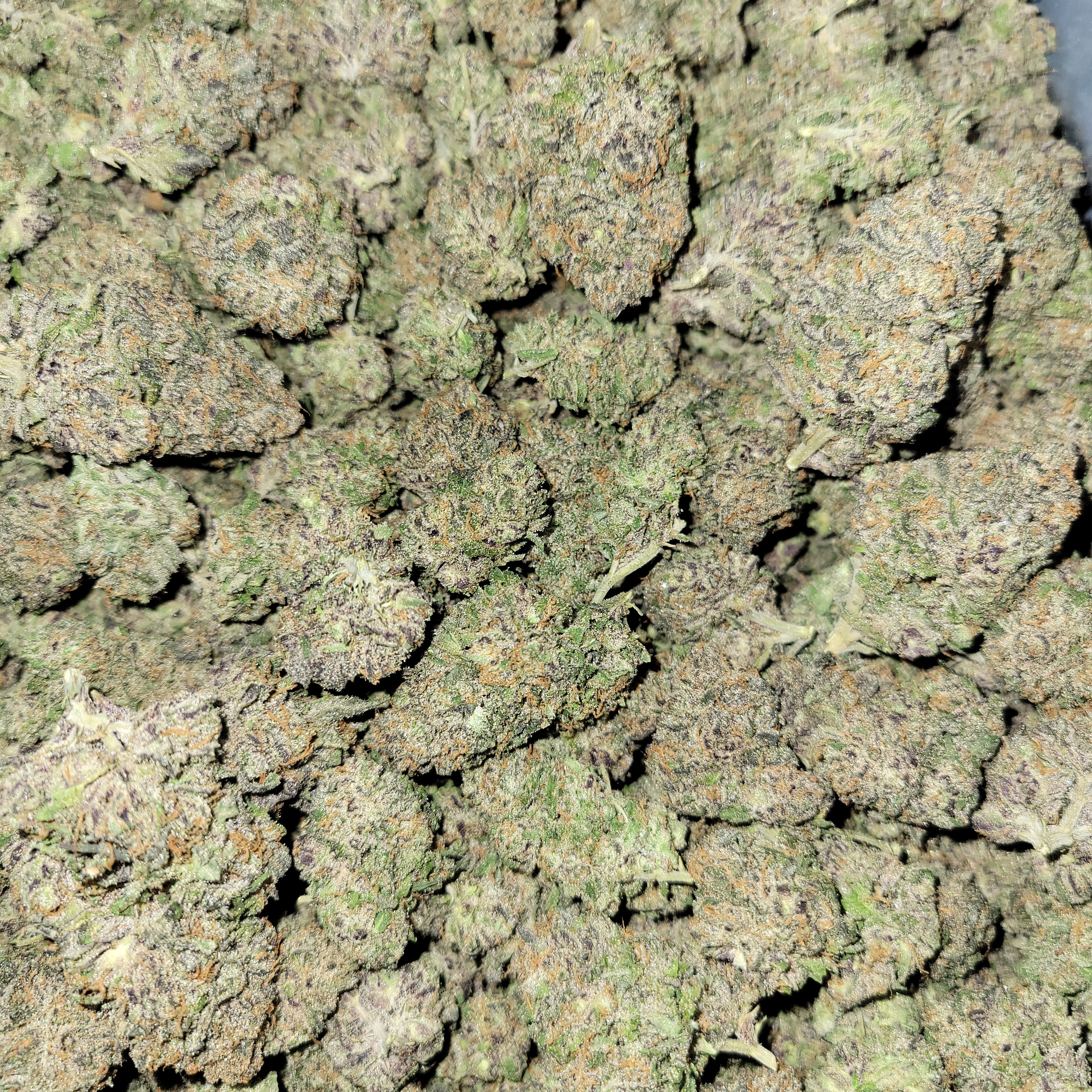 Photograph of product: Sour Berry Blue
