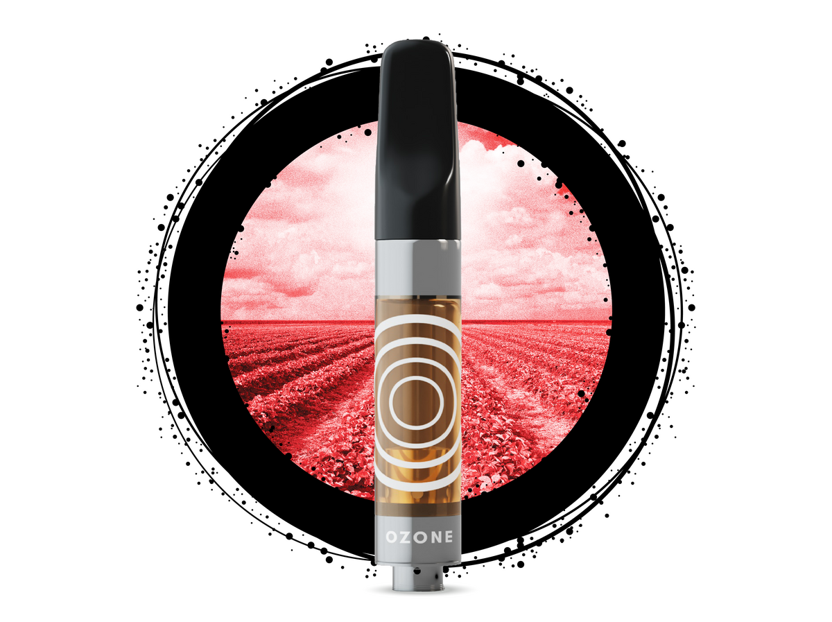 Photograph of product: Strawberry Fields | Distillate Cartridge | 1g (SH)