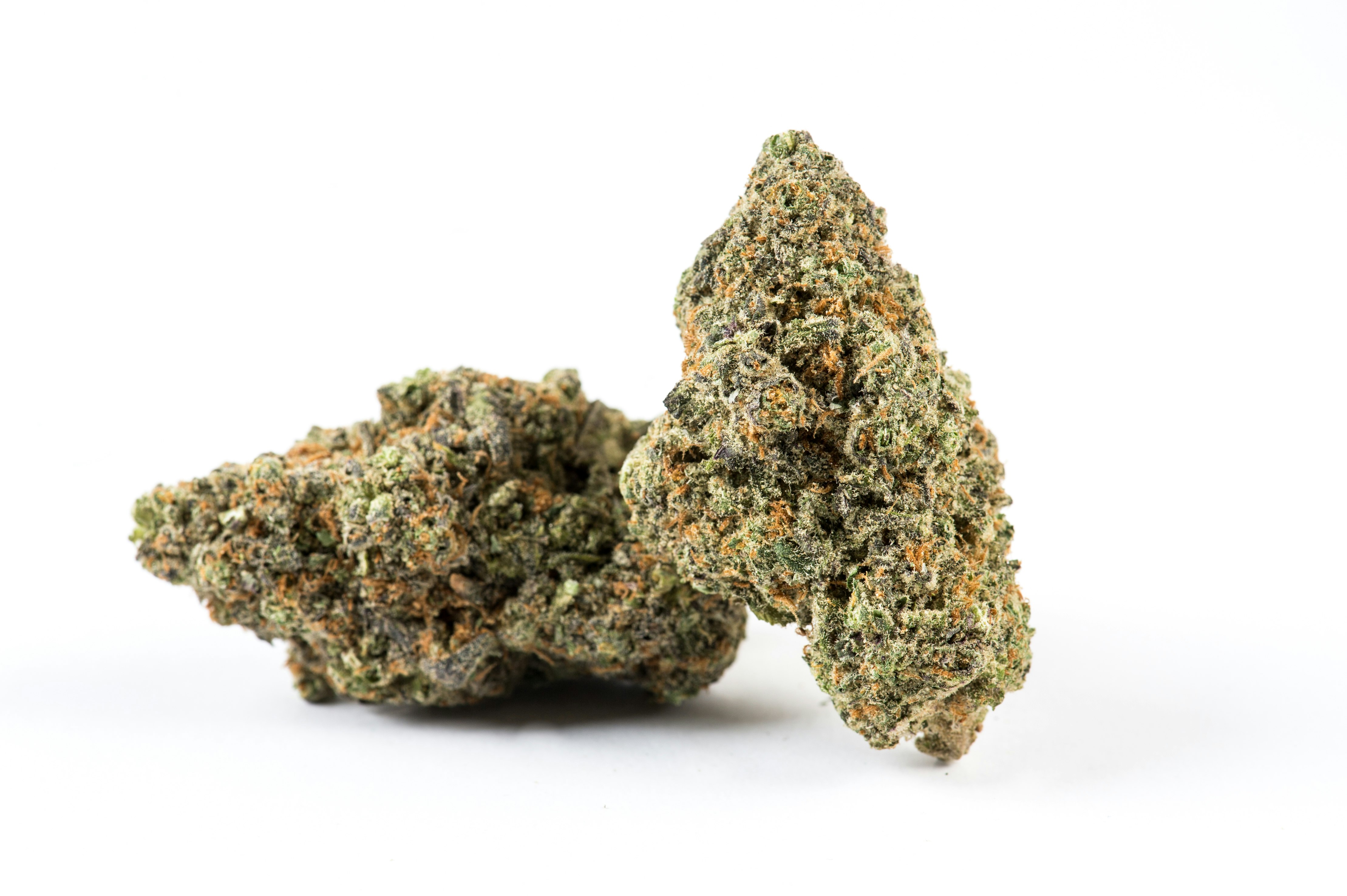 Photograph of product: Zookies (H) - 28g