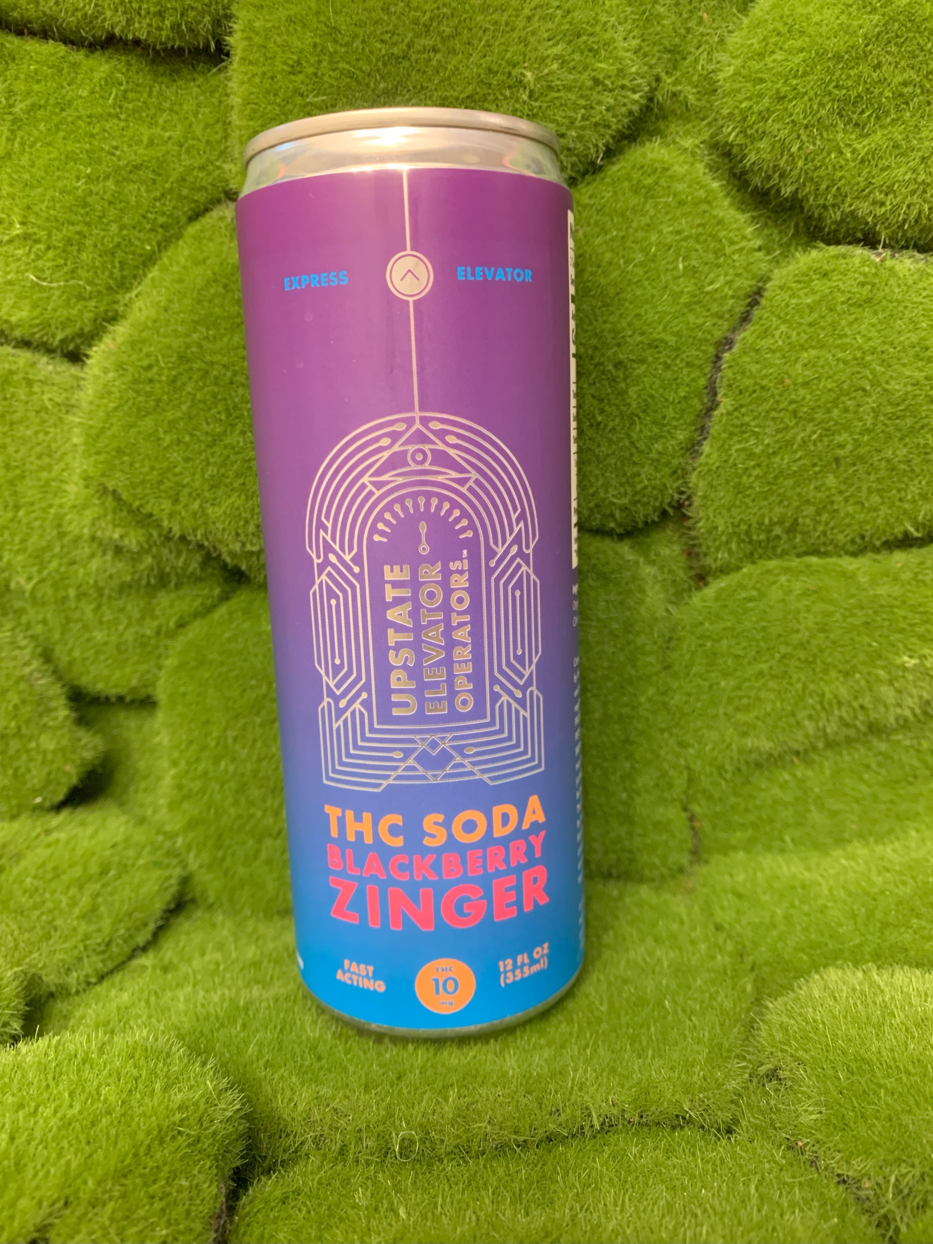 Photograph of product: 10mg Can | Blackberry Zinger TH-oui Soda | Upstate Elevator Operators