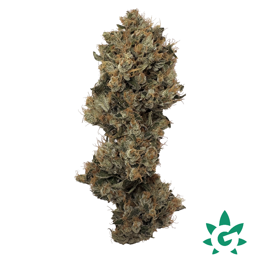 Photograph of product: (REC) Death By Funk Buds - Dutch Touch Genetics