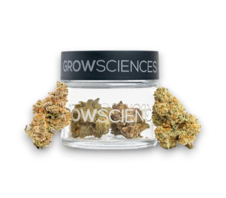 Photograph of product: ZKTZ Cubed Flower - 3.5g