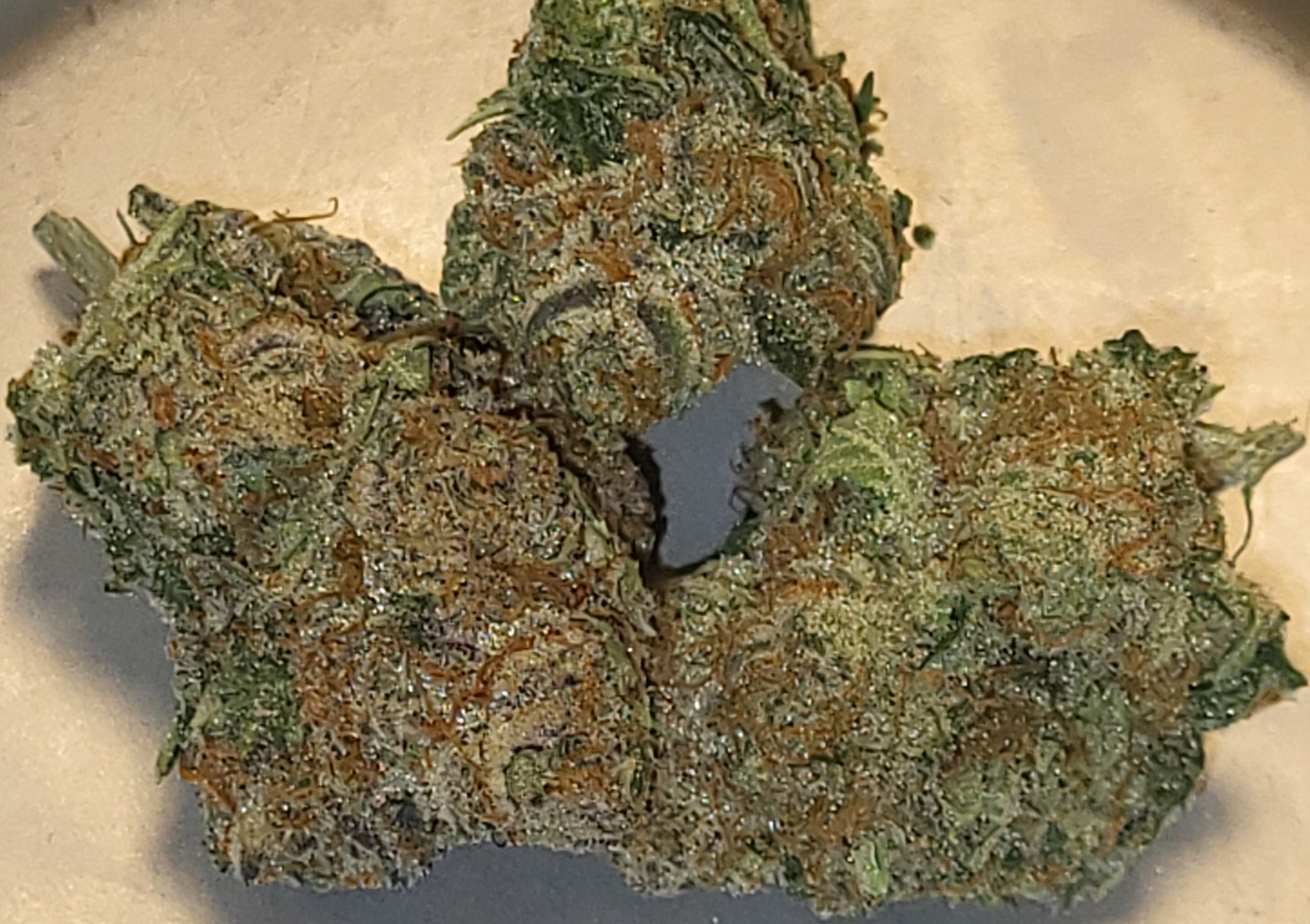 Photograph of product: MED - Mimosa - 28g