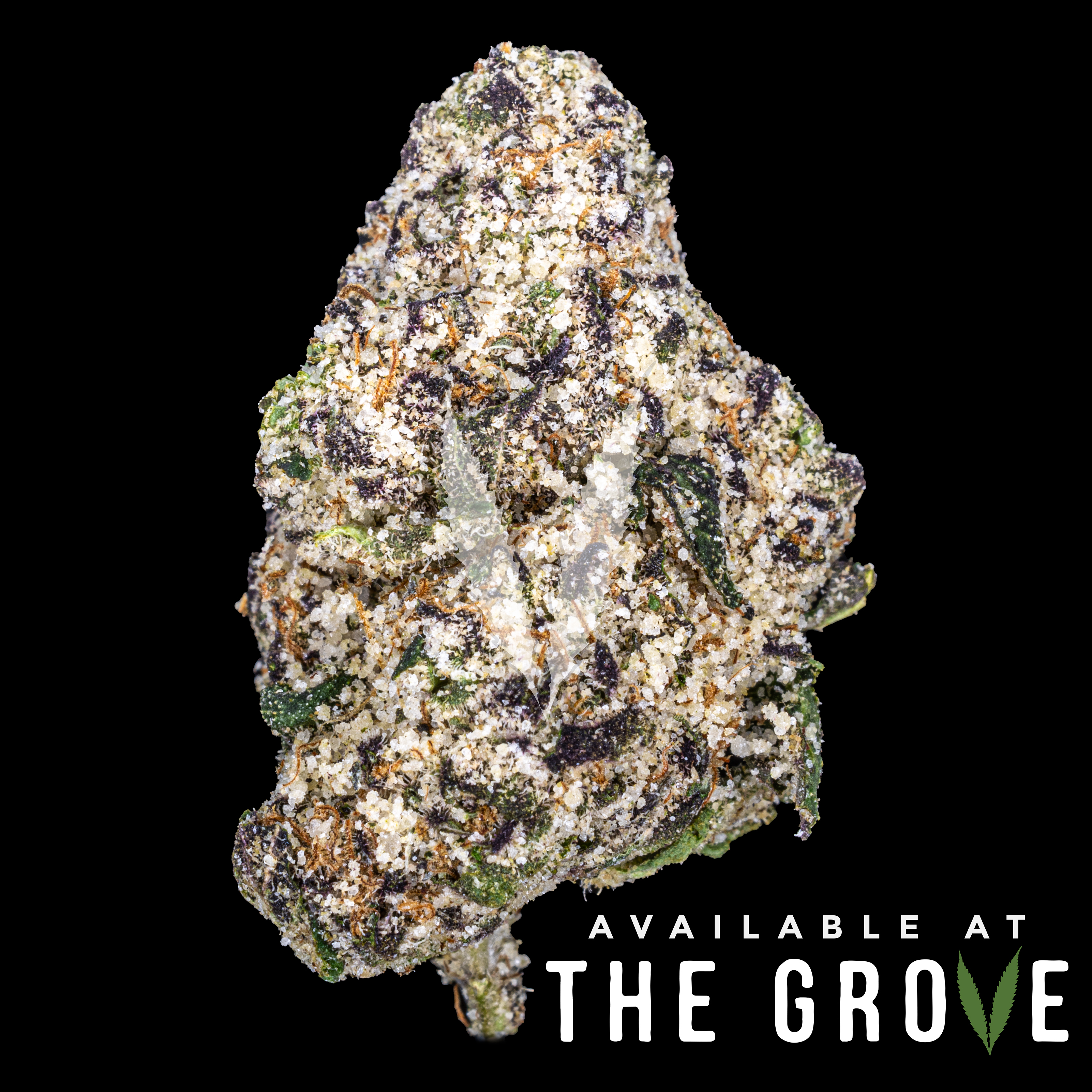 Photograph of product: VS1 | Black Cherry Runtz 1/8ths - 3.5g