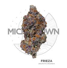 Photograph of product: Michigrown | Runtz | 28g | Pre-Pack Flower