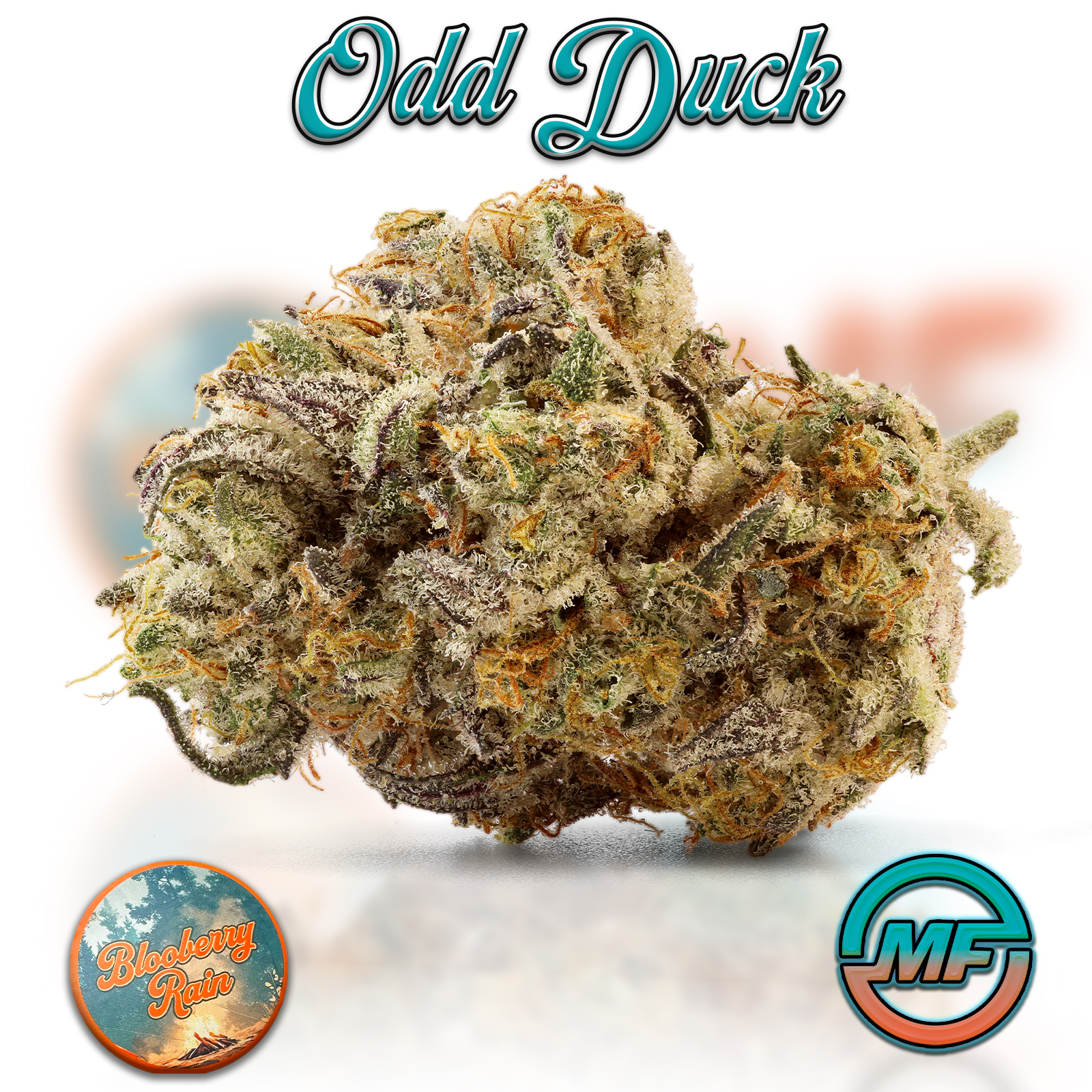 Photograph of product: Odd Duck | Blooberry Rain | Pre-Packaged Half Ounce | 14g