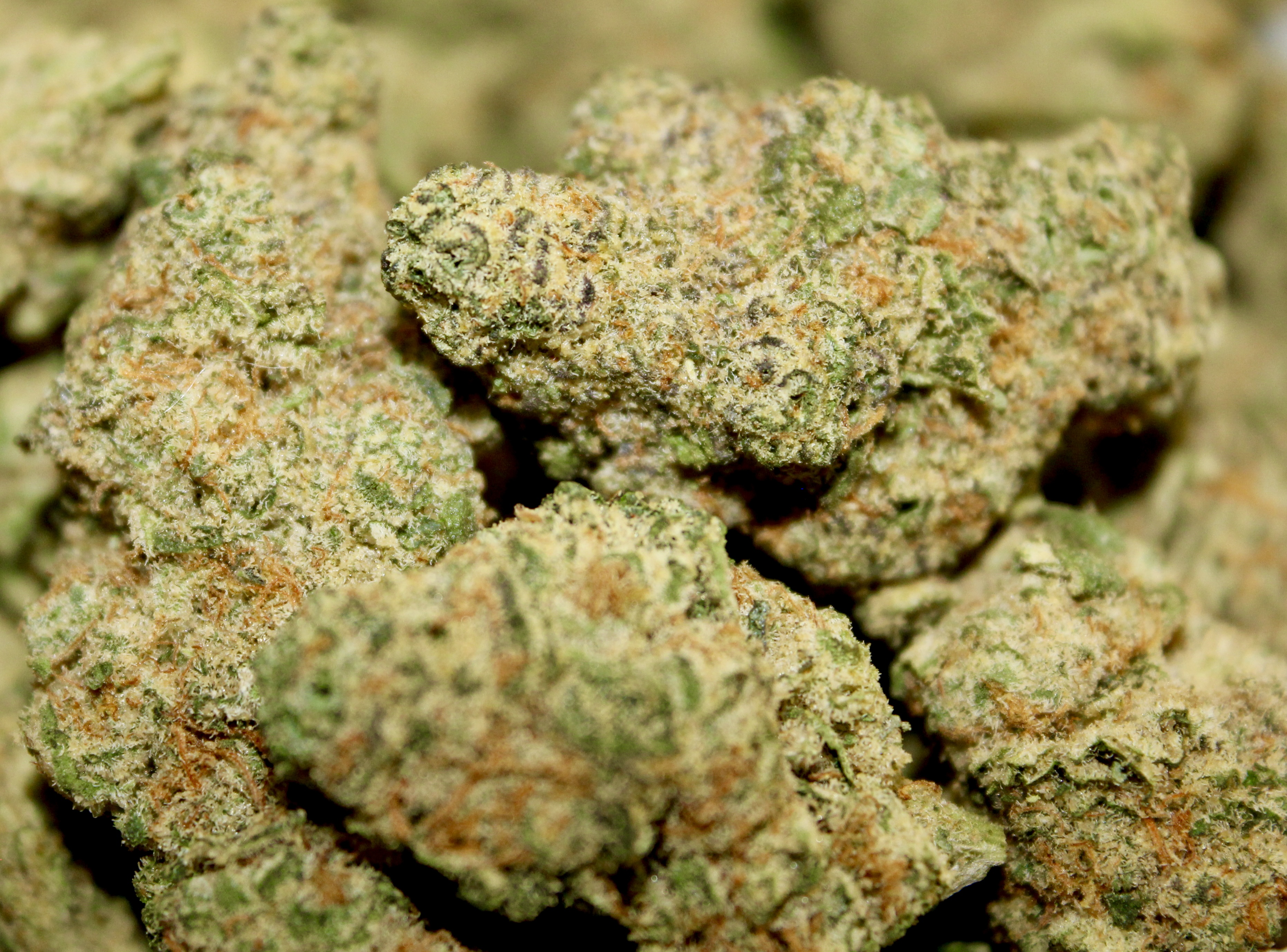 Photograph of product: Coco Pebbles x Grande (H)