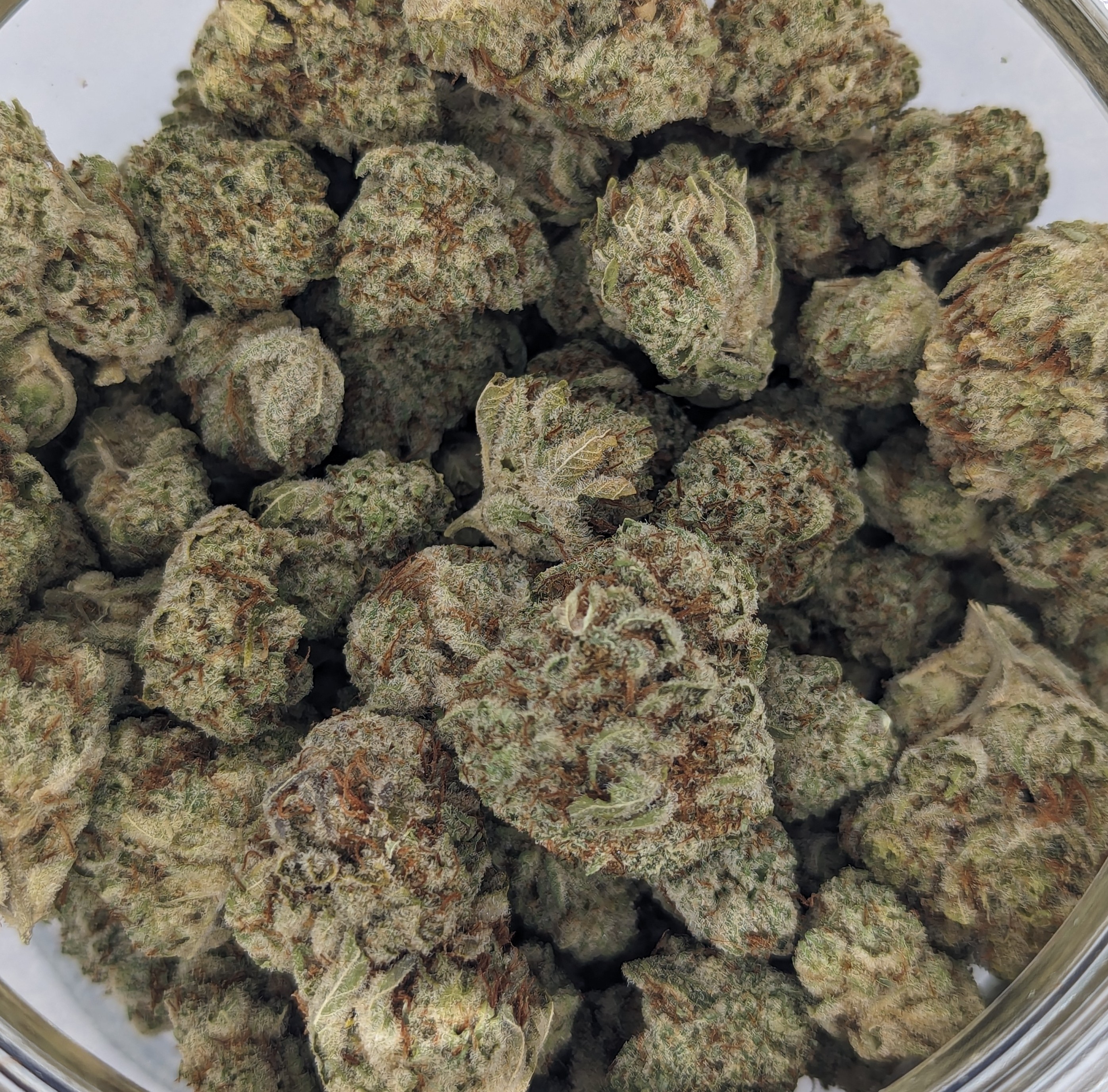 Photograph of product: Acapulco Gold | Harvested: 06/04/2025 - 28g