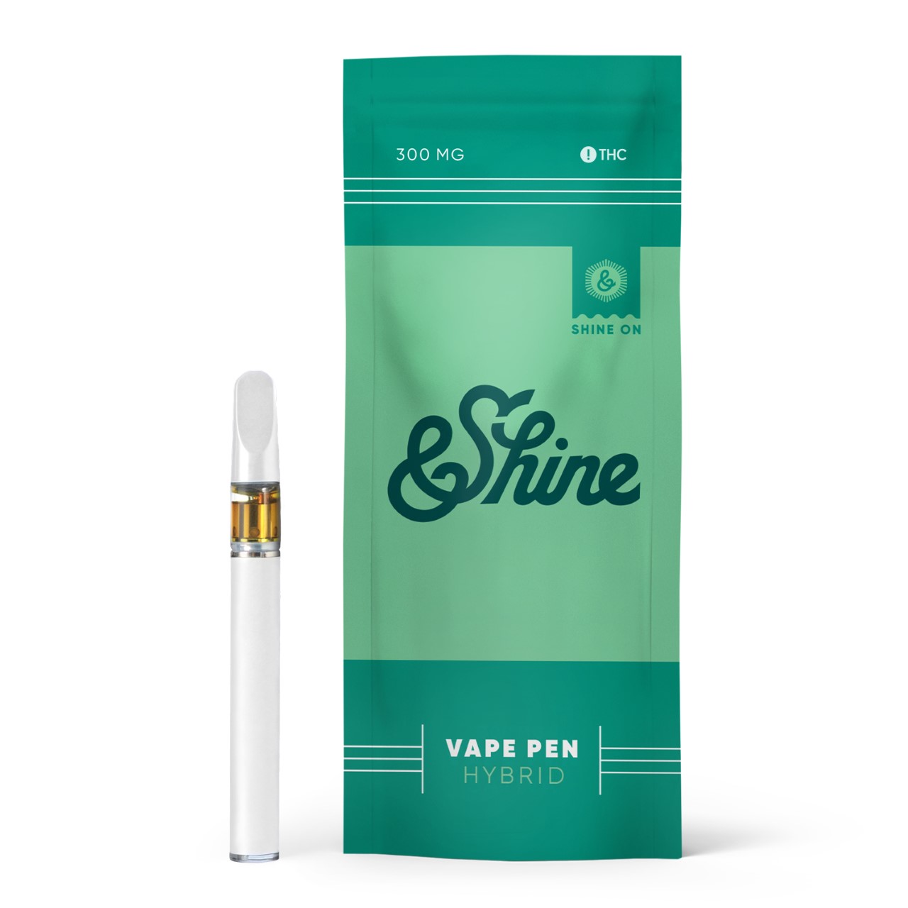 Photograph of product: Disposable Pen Blueberry | 300mg